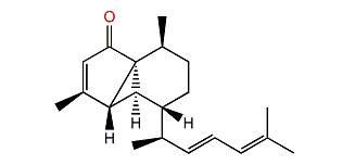 Euplexaurene C